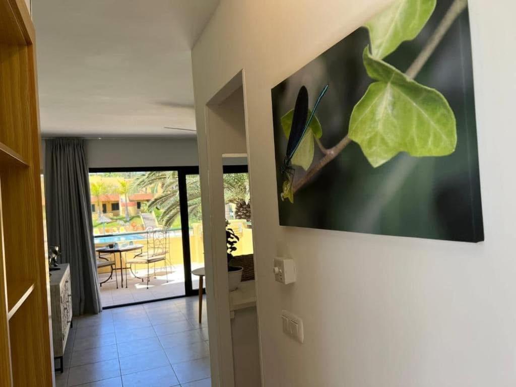 Atlantic Garden Andrew Apartments Pool Air Conditioning Коралео Екстериор снимка